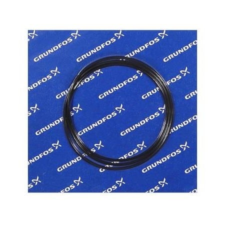 Pump Repair Parts- O-ring FKM 430.66x3.53/spare.